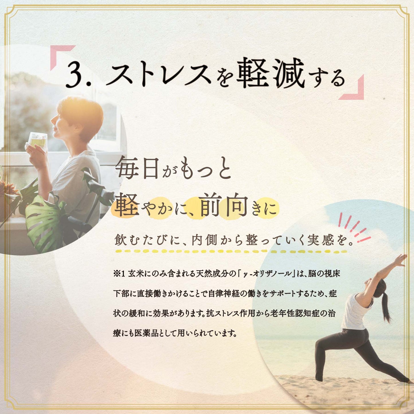 美活玄米茶 30日分