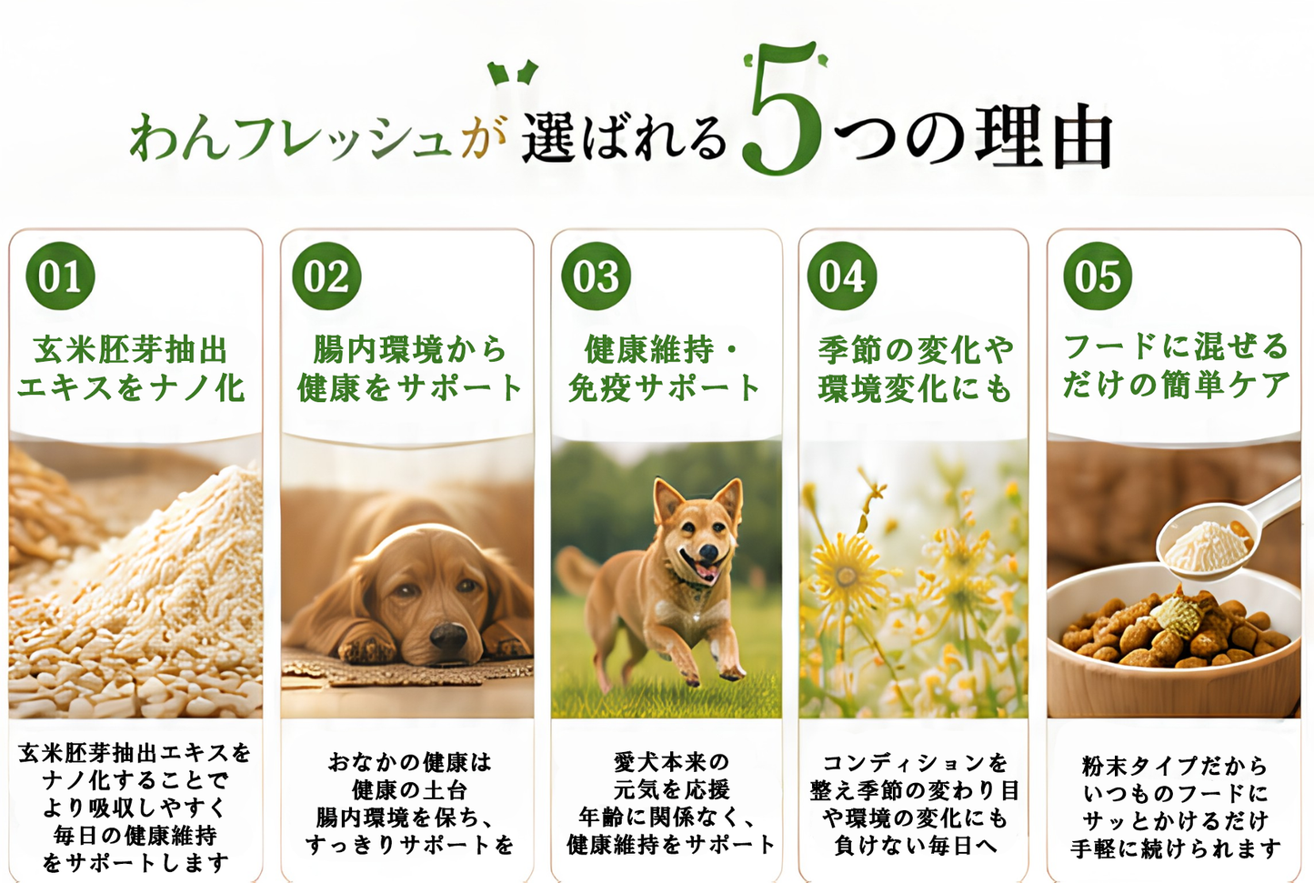 わんフレッシュ