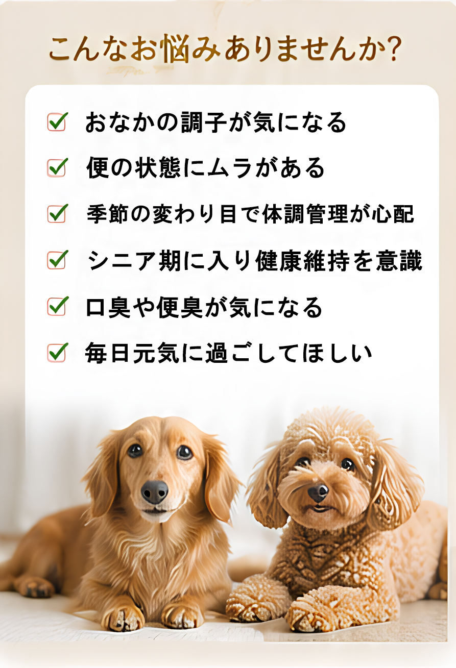 わんフレッシュ