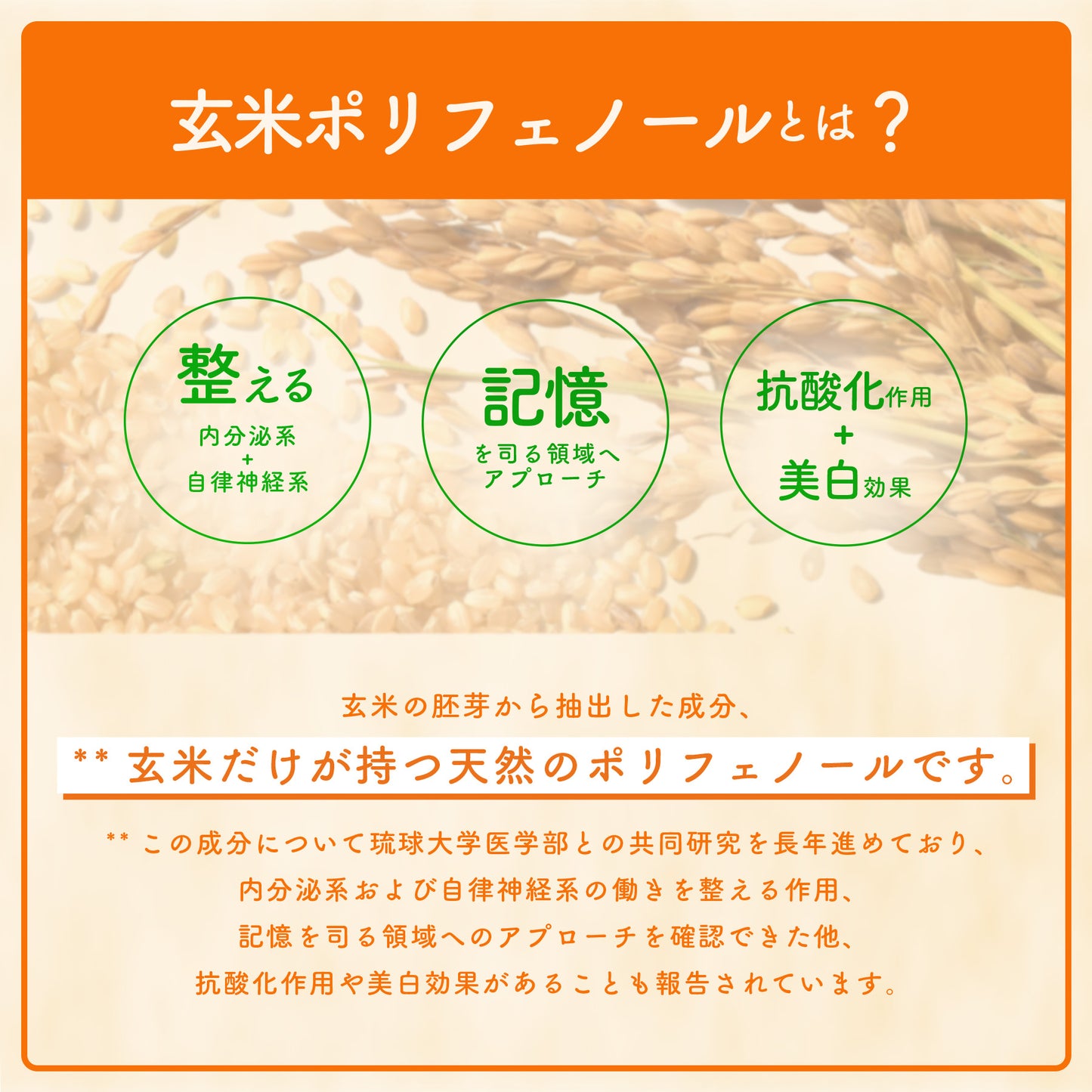 玄米ポリフェノールプレミアム　30日分